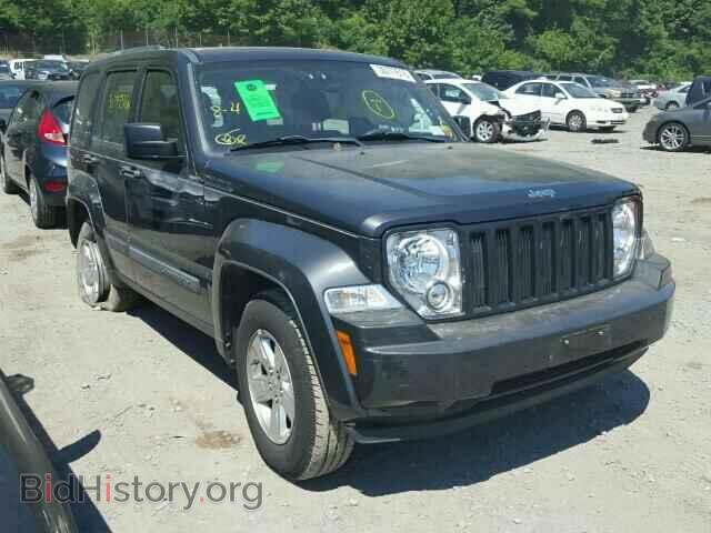 Фотография 1J4PN2GK4BW577272 - JEEP LIBERTY 2011