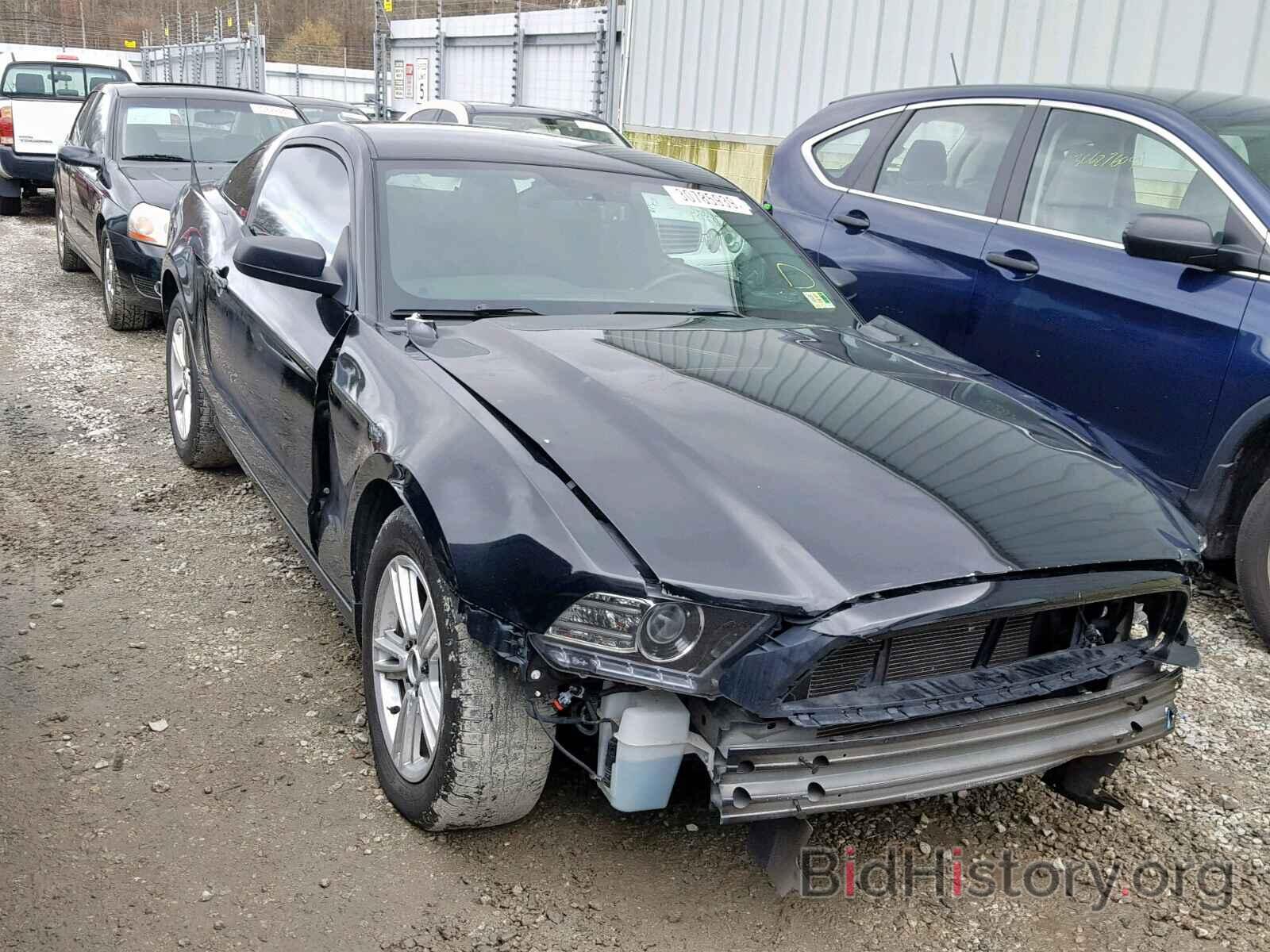 Photo 1ZVBP8AM6E5277358 - FORD MUSTANG 2014