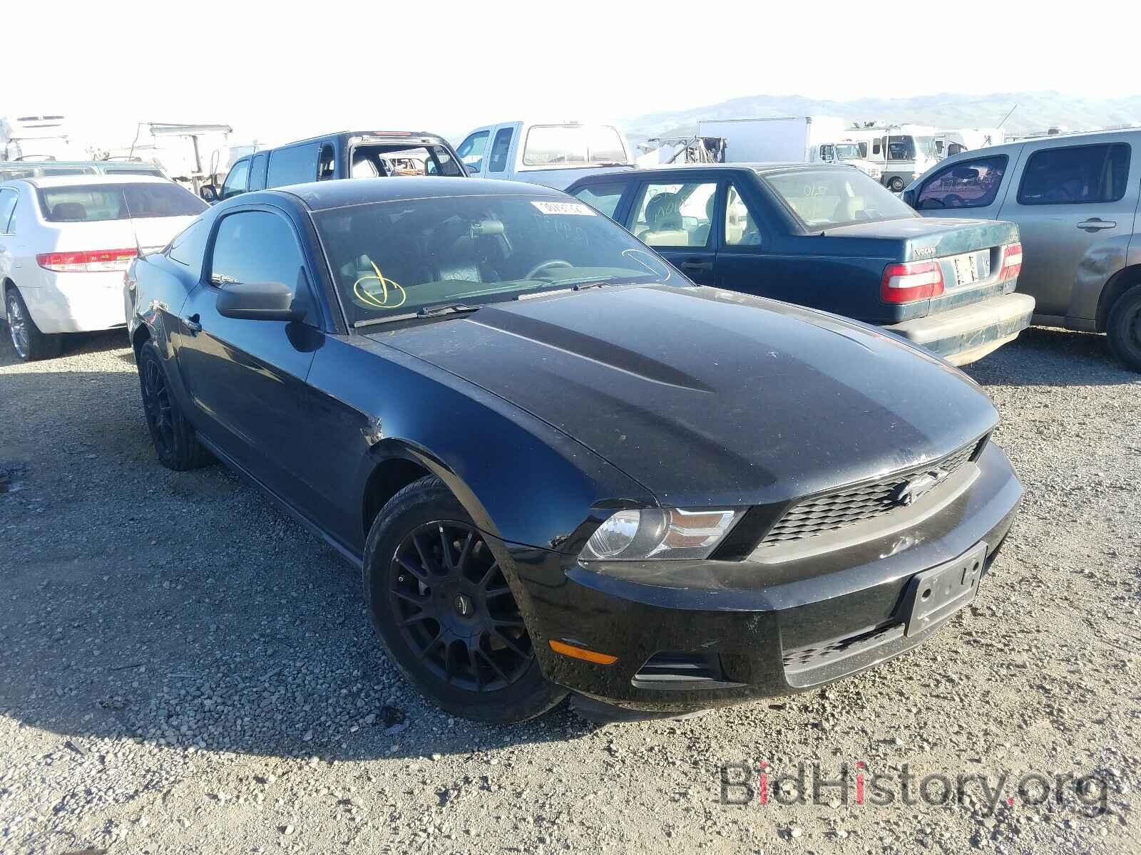 Photo 1ZVBP8AM3B5132015 - FORD MUSTANG 2011