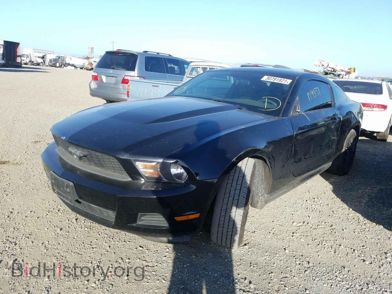 2011 FORD MUSTANG - VIN: 1ZVBP8AM3B5132015 - Фото 2