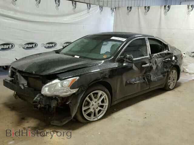 2009 NISSAN MAXIMA - VIN: 1N4AA51E59C828104 - Фото 2