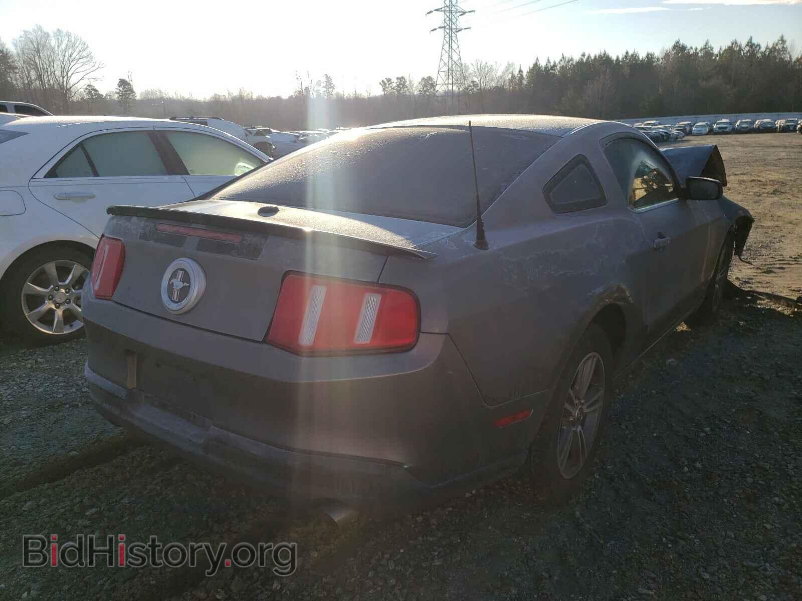 2010 FORD MUSTANG - VIN: 1ZVBP8AN2A5146320 - Фото 4