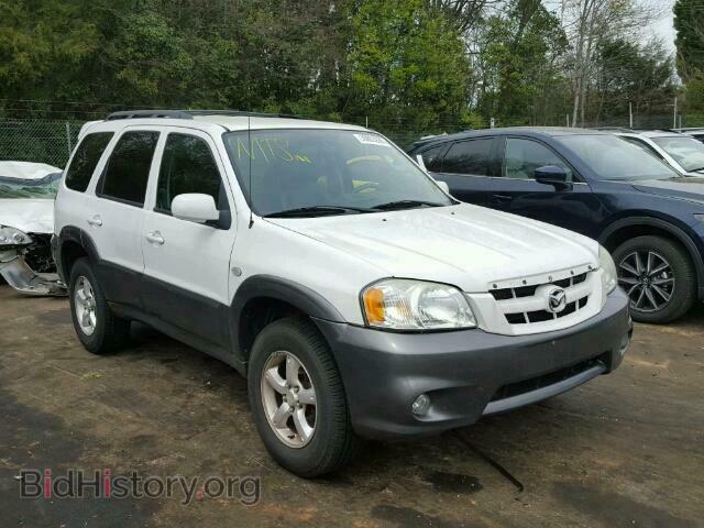 Photo 4F2CZ06116KM08376 - MAZDA TRIBUTE 2006