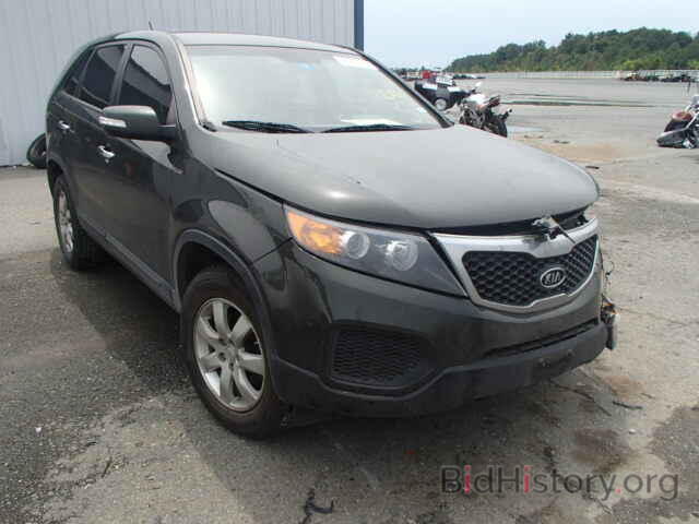 Photo 5XYKT3A16BG173186 - KIA SORENTO 2011