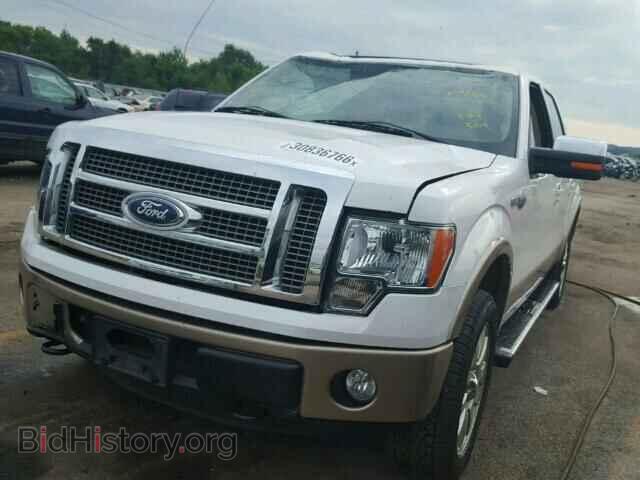 2011 FORD F150 - VIN: 1FTFW1EF4BKD58365 - Фото 2