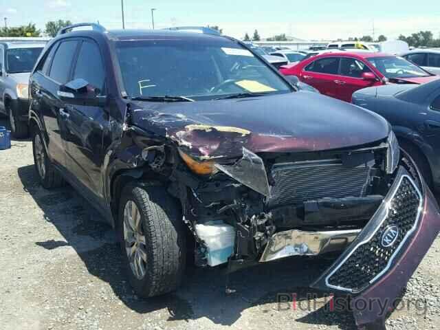 Photo 5XYKWDA24BG100968 - KIA SORENTO 2011