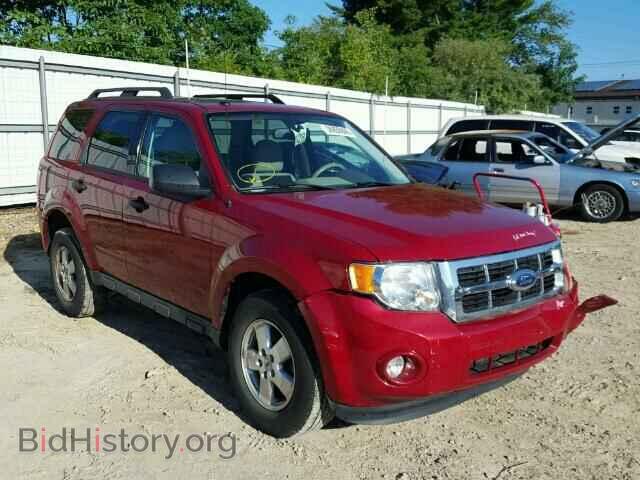 Photo 1FMCU0DG8BKB09253 - FORD ESCAPE 2011