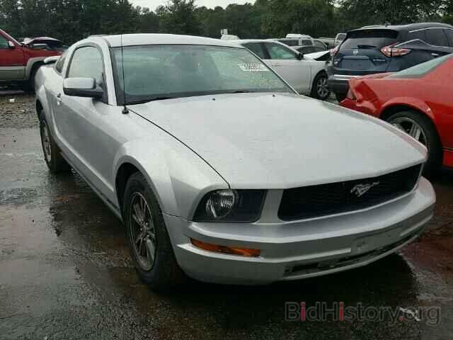 Photo 1ZVHT80N065135296 - FORD MUSTANG 2006