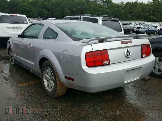 2006 FORD MUSTANG - VIN: 1ZVHT80N065135296 - Фото 3