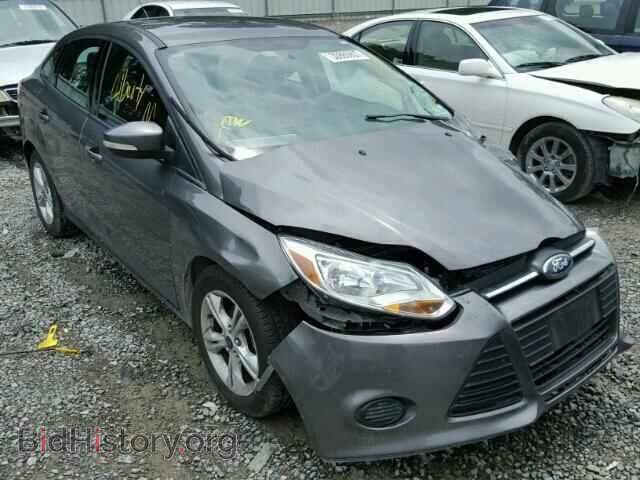 Photo 1FADP3F24DL301744 - FORD FOCUS 2013