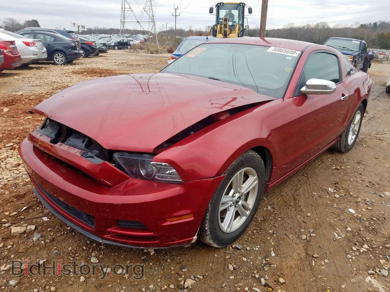 2014 FORD MUSTANG - VIN: 1ZVBP8AM3E5282467 - Фото 2