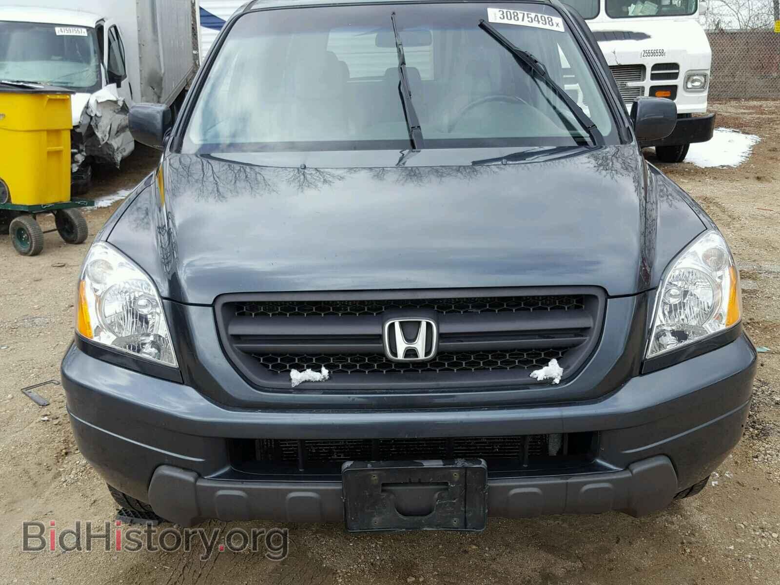 2005 HONDA PILOT - VIN: 5FNYF185X5B021440 - Фото 7