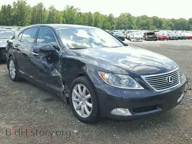 Photo JTHGL46F385027280 - LEXUS LS460 2008