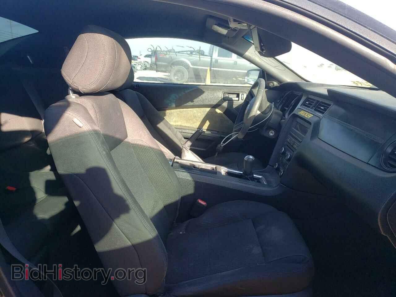 2012 FORD MUSTANG - VIN: 1ZVBP8AM2C5265527 - Фото 5