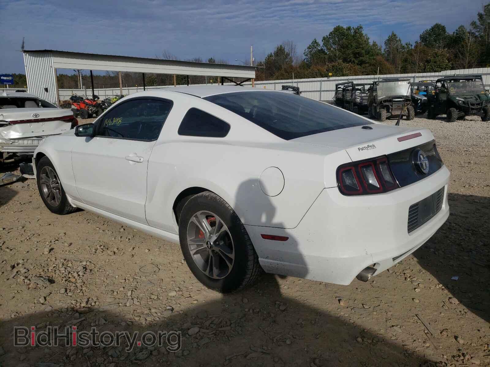 2014 FORD MUSTANG - VIN: 1ZVBP8AM4E5302418 - Фото 3