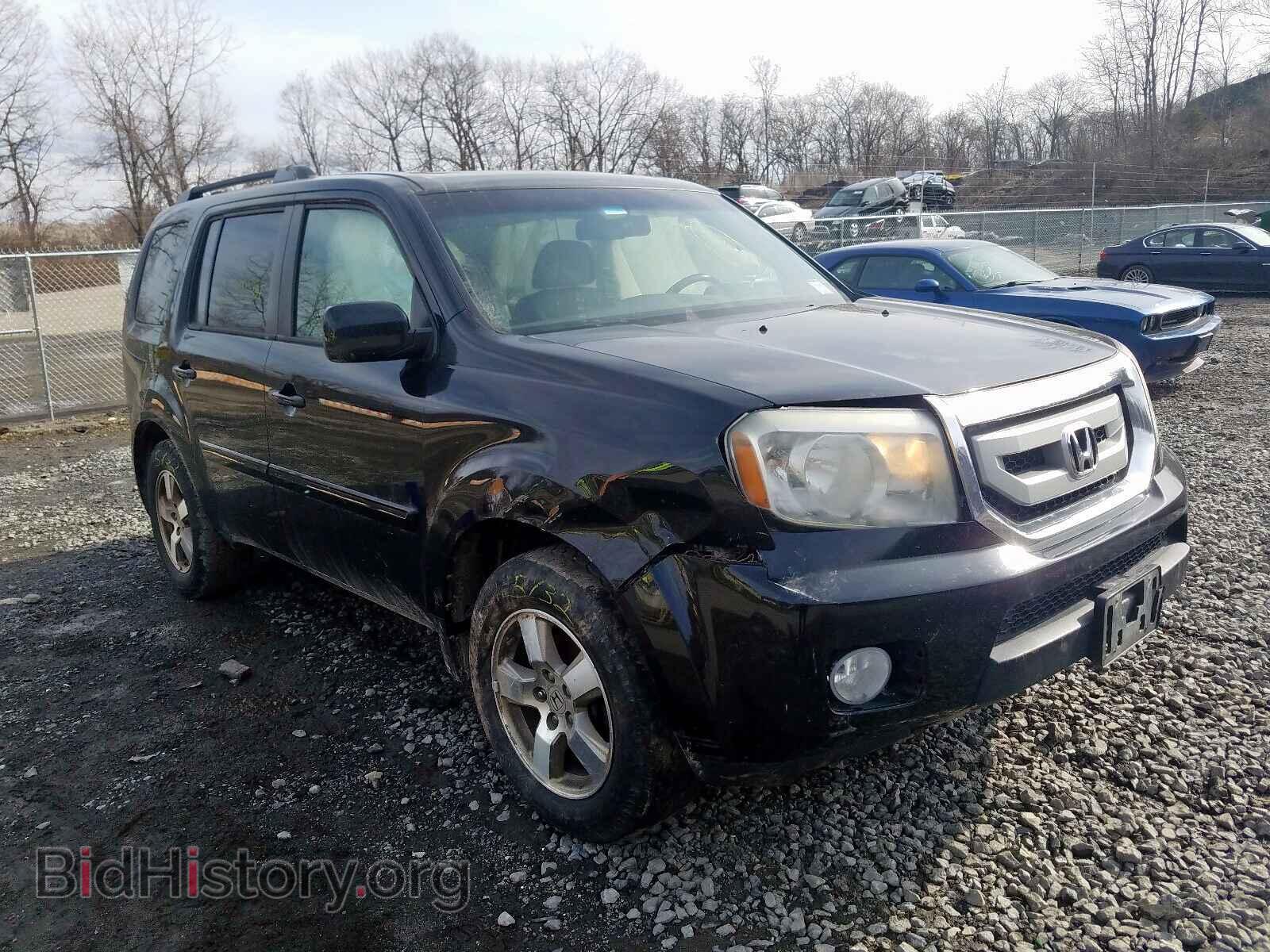 Фотография 5FNYF4H65AB033595 - HONDA PILOT 2010