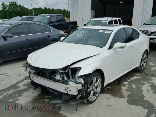 2009 LEXUS IS250 - VIN: JTHBK262292092008 - Фото 2