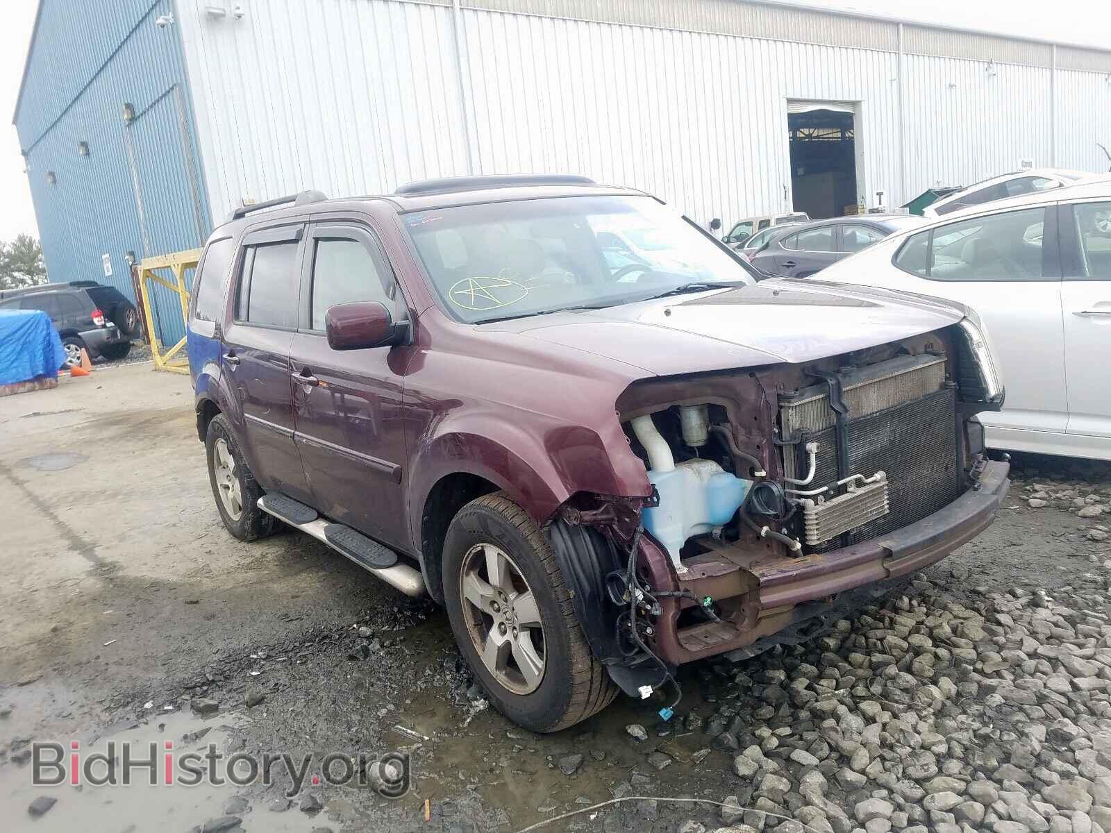 Фотография 5FNYF48549B028049 - HONDA PILOT 2009