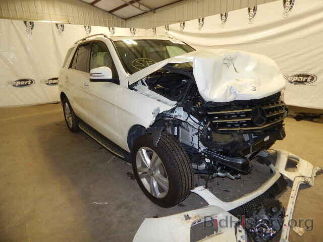 Photo 4JGDA5JB7DA230626 - MERCEDES-BENZ ML350 2013