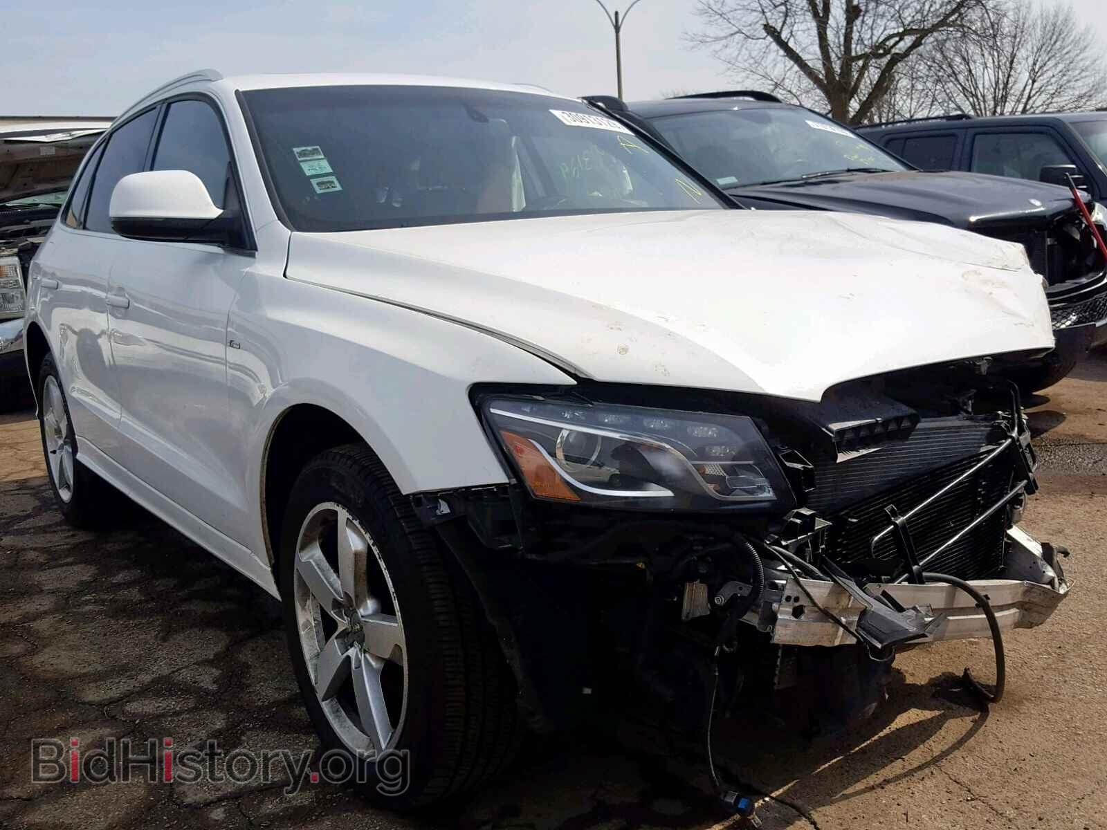 Фотография WA1DKAFP7CA096174 - AUDI Q5 2012