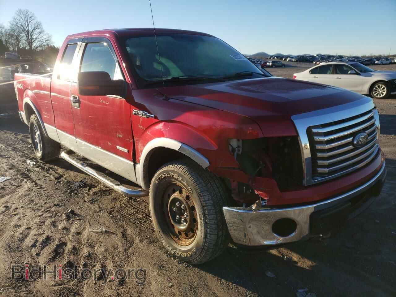 Photo 1FTFX1ET2BFD24128 - FORD F-150 2011