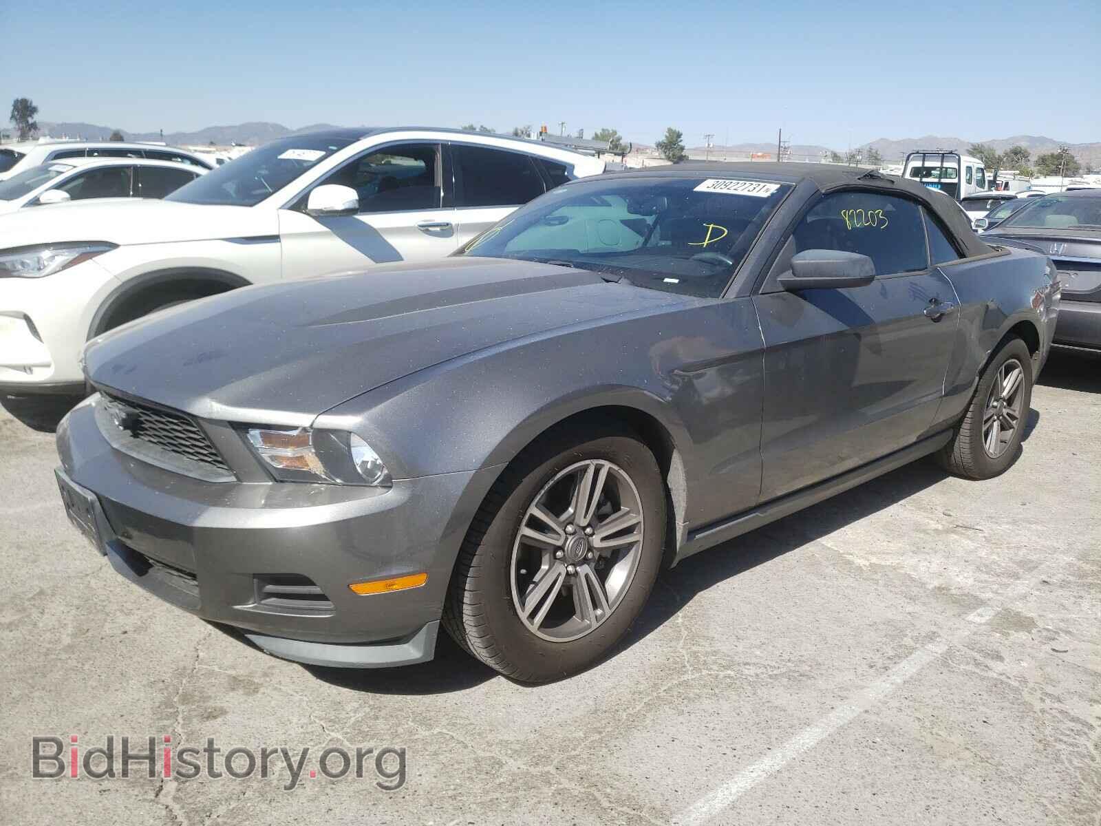2011 FORD MUSTANG - VIN: 1ZVBP8EM8B5136961 - Фото 2