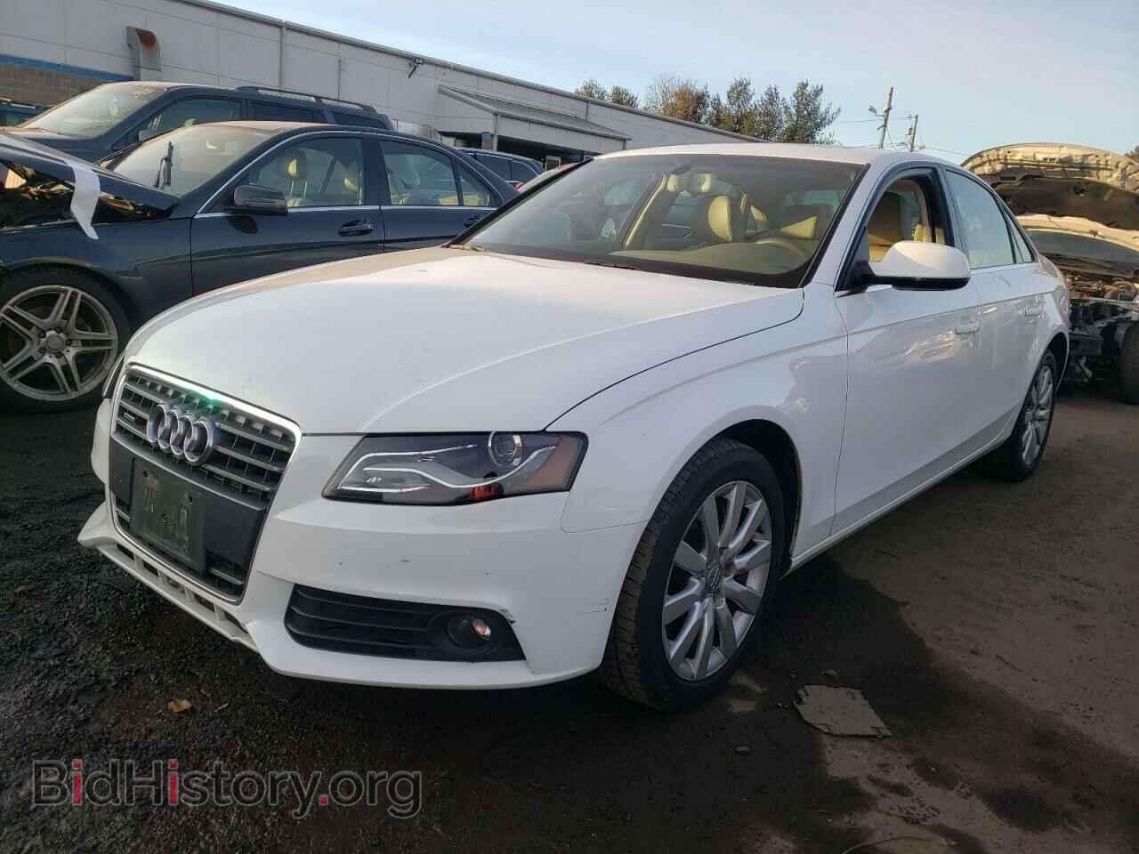 2011 AUDI A4 - VIN: WAUFFAFL9BN045439 - Фото 2