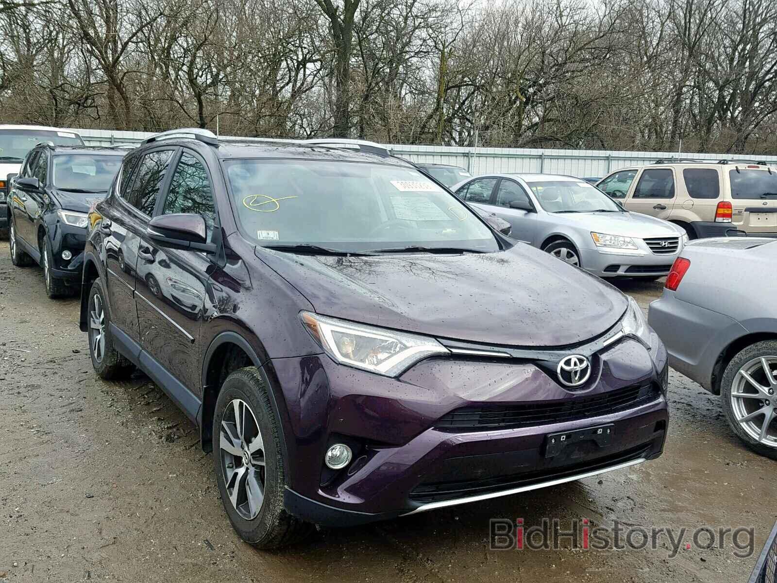 Фотография 2T3RFREVXGW458018 - TOYOTA RAV4 XLE 2016