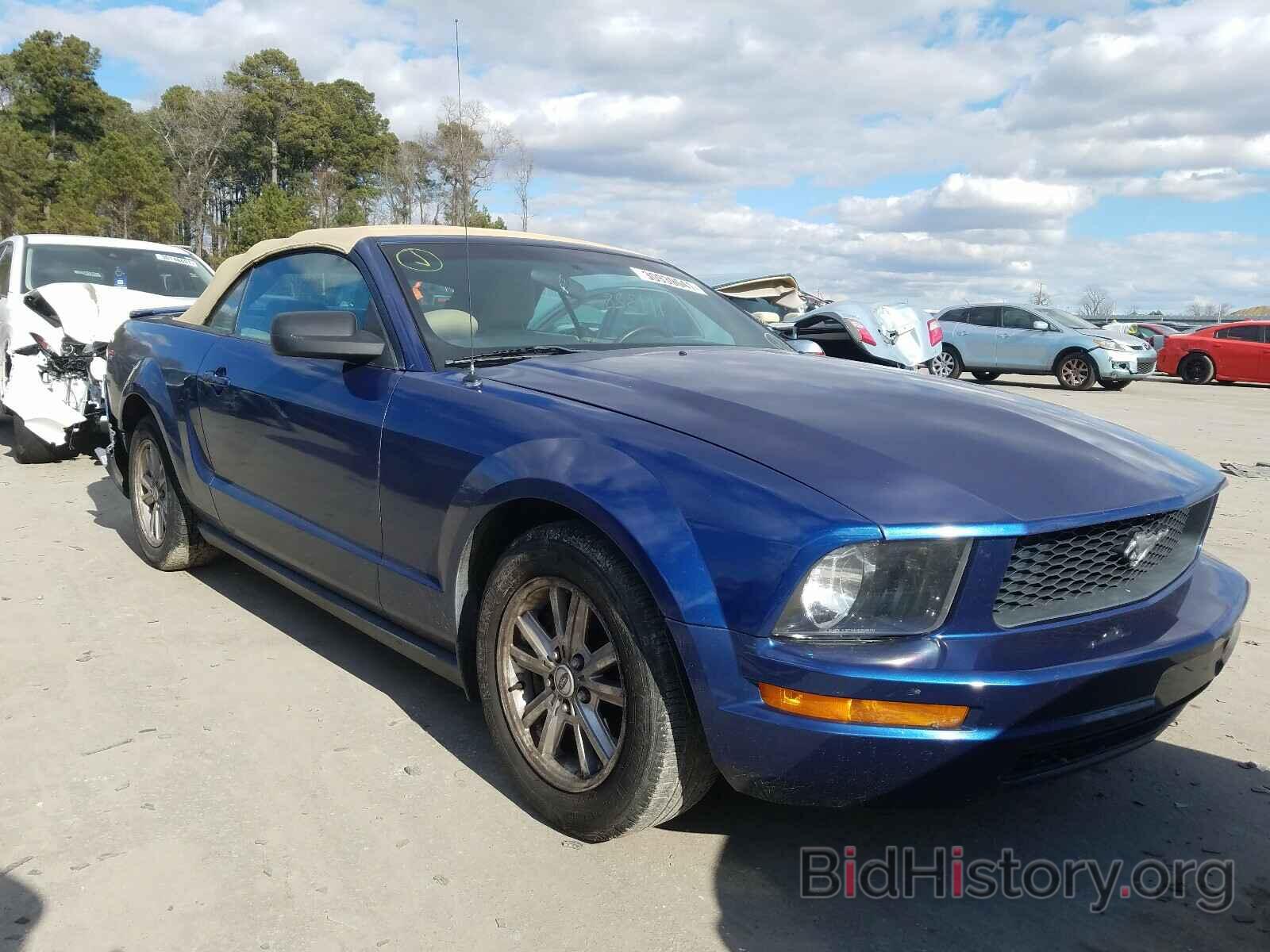 Photo 1ZVHT84N995112971 - FORD MUSTANG 2009