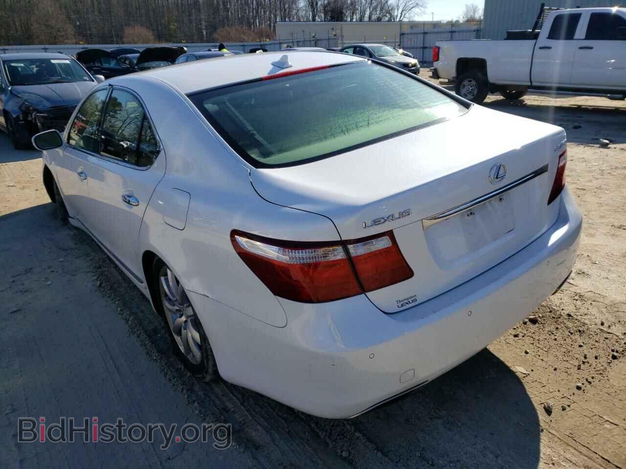 2008 LEXUS LS460 - VIN: JTHBL46FX85065504 - Фото 3