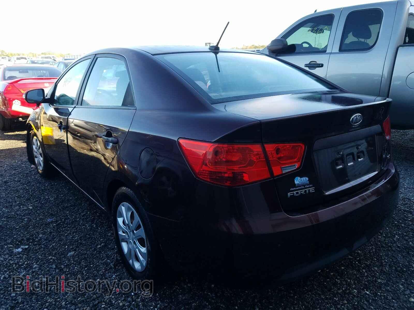 2010 KIA FORTE - VIN: KNAFU4A21A5834270 - Фото 3