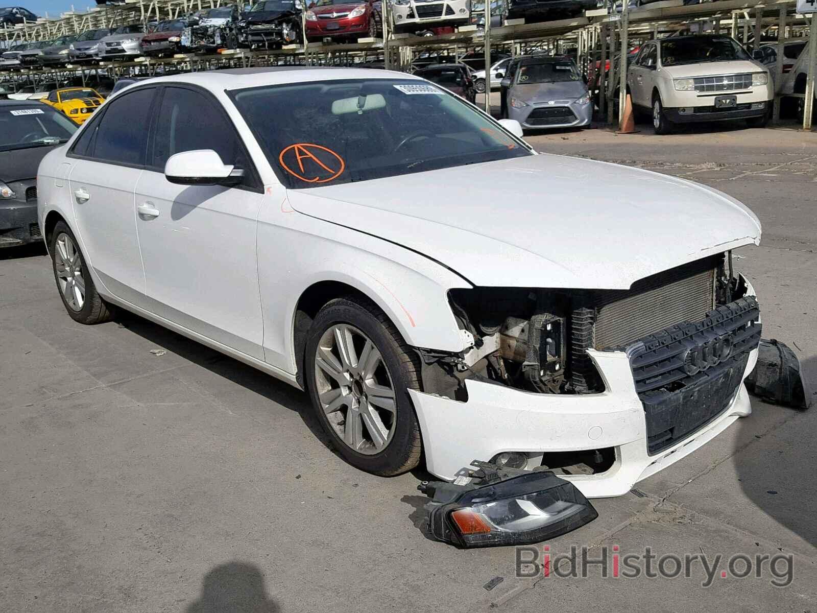 Photo WAUBFAFL7AN065525 - AUDI A4 2010