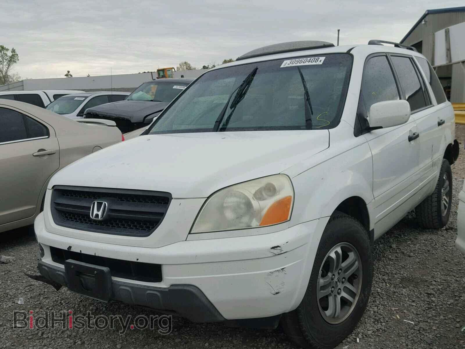 2005 HONDA PILOT - VIN: 5FNYF18525B010254 - Фото 2