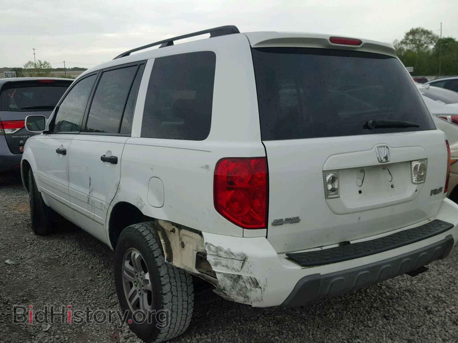 2005 HONDA PILOT - VIN: 5FNYF18525B010254 - Фото 3