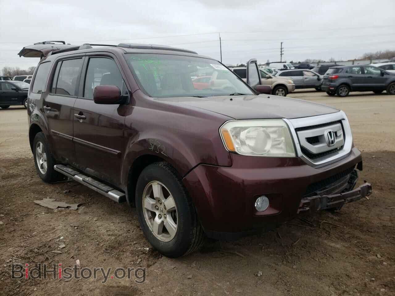 Фотография 5FNYF48529B052673 - HONDA PILOT 2009