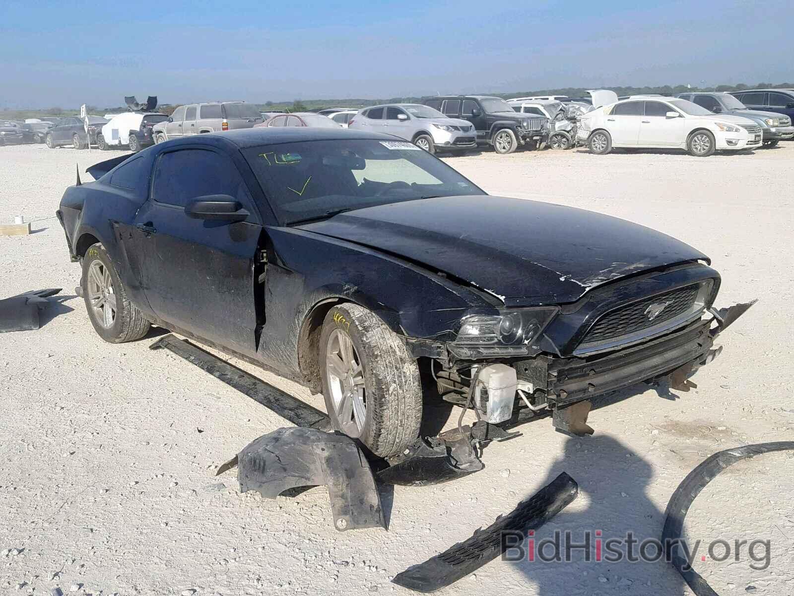 Photo 1ZVBP8AM9D5241193 - FORD MUSTANG 2013