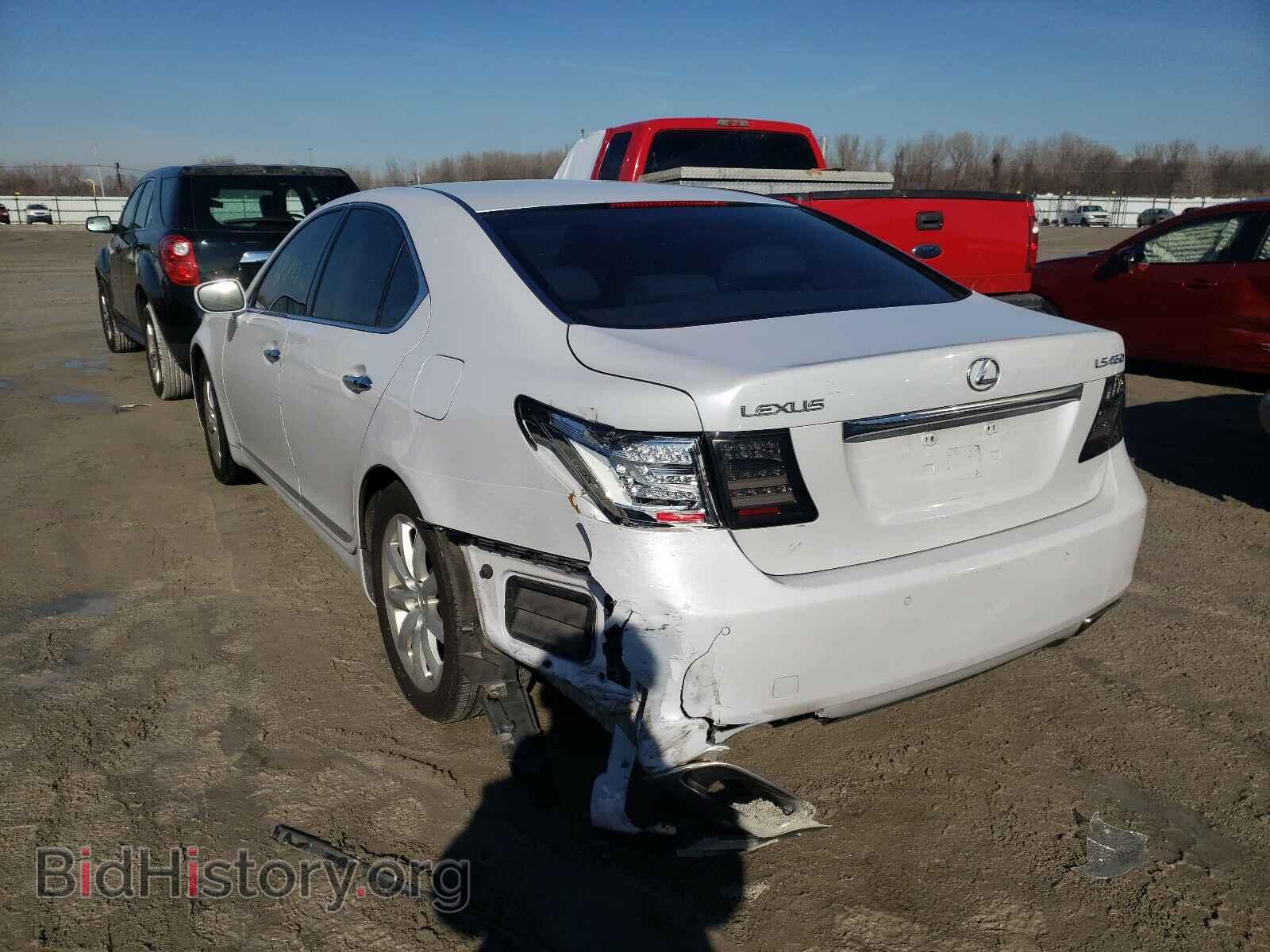 2008 LEXUS LS460 - VIN: JTHBL46F585064163 - Фото 3