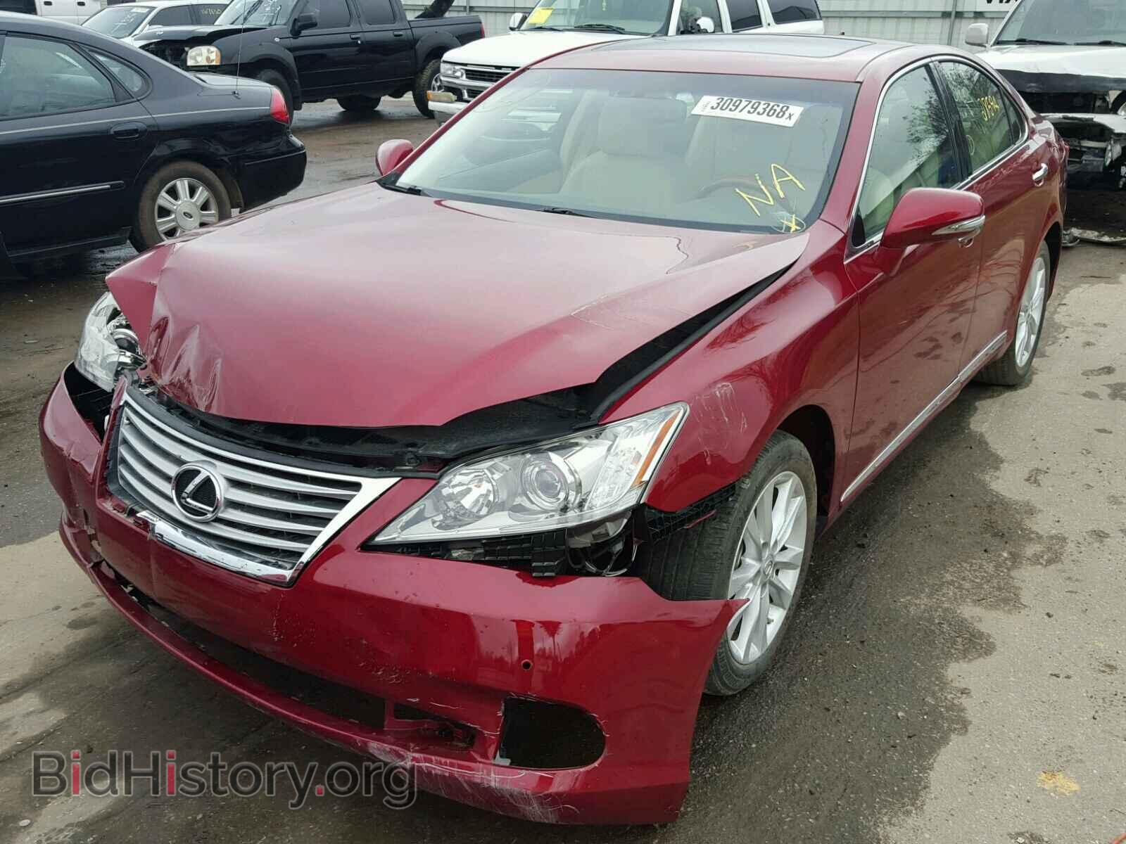 2010 LEXUS ES350 - VIN: JTHBK1EG8A2373287 - Фото 2