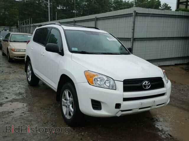 Фотография 2T3BF4DV8BW120194 - TOYOTA RAV4 2011