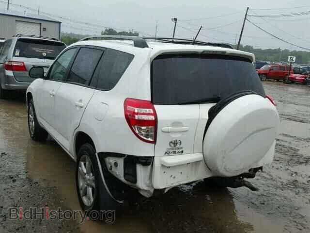 2011 TOYOTA RAV4 - VIN: 2T3BF4DV8BW120194 - Photo 3