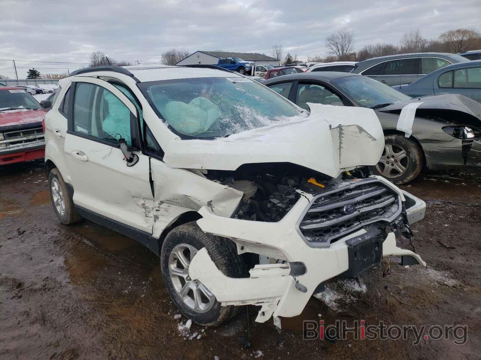Photo MAJ3S2GE5KC275570 - FORD ALL OTHER 2019