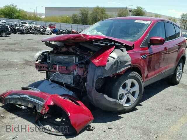 2013 FORD ESCAPE - VIN: 1FMCU9GX6DUD69464 - Photo 2