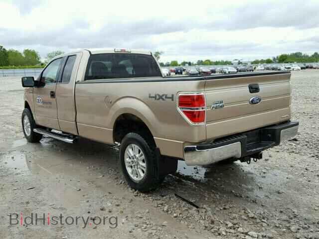 2014 FORD F150 - VIN: 1FTVX1EF5EKE49304 - Фото 3