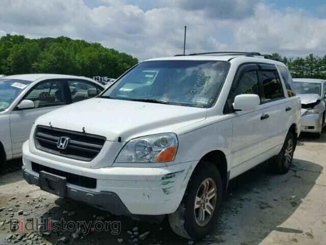 2005 HONDA PILOT - VIN: 5FNYF18585B002272 - Фото 2