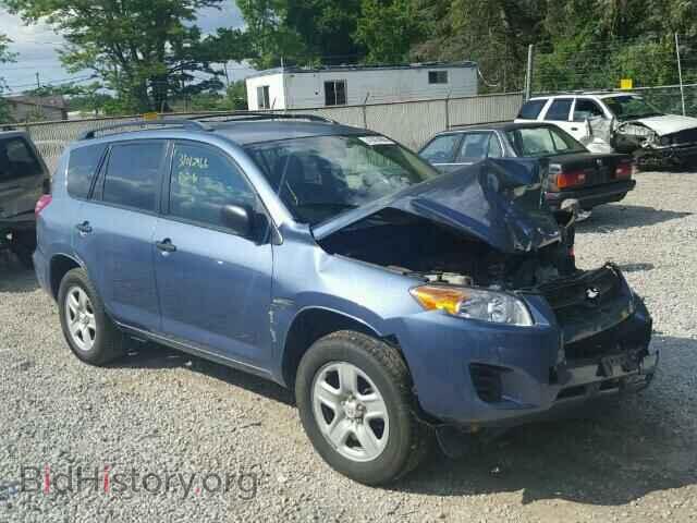 Фотография 2T3BF4DV4BW156304 - TOYOTA RAV4 2011