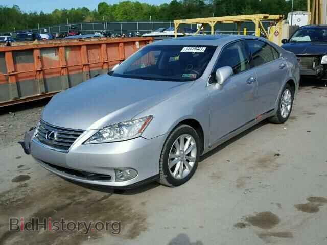 2010 LEXUS ES350 - VIN: JTHBK1EG4A2392337 - Фото 2