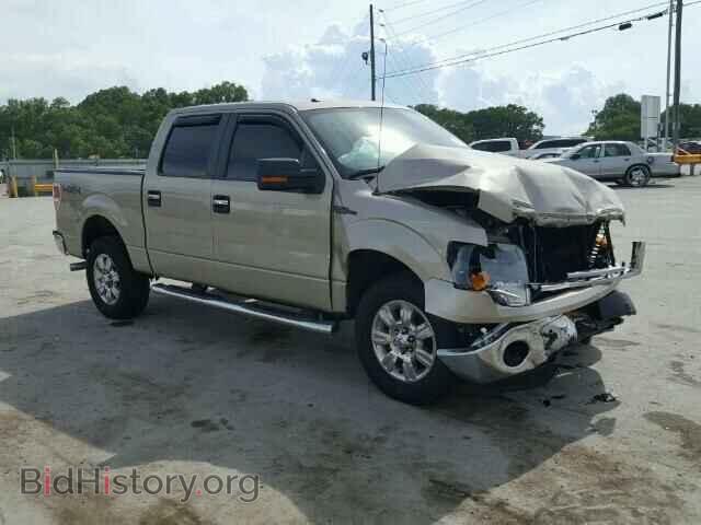 Фотография 1FTFW1EV8AFC81692 - FORD F150 2010
