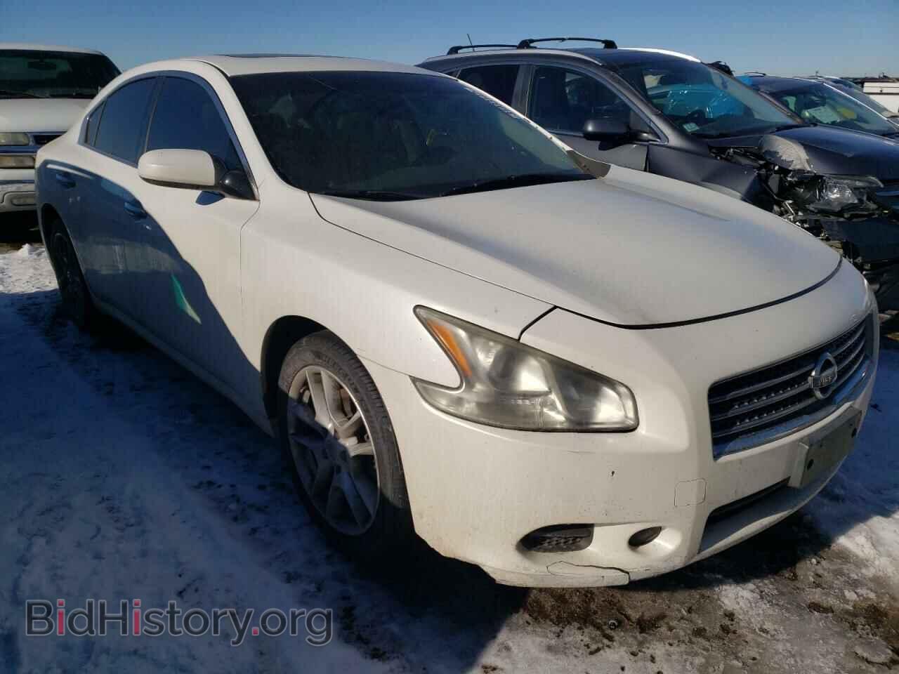 Photo 1N4AA5AP6AC804416 - NISSAN MAXIMA 2010