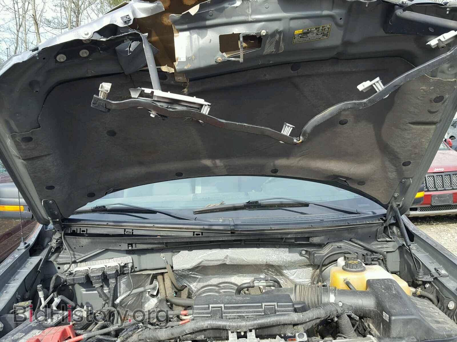2013 FORD F150 - VIN: 1FTFX1EF6DFD29524 - Фото 7