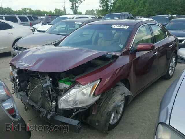 2009 NISSAN MAXIMA - VIN: 1N4AA51EX9C827305 - Фото 2